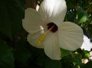 P1160346