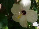 P1160347