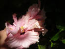 P1160355
