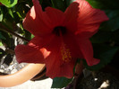 P1160357