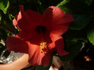 P1160358