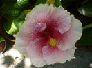 P1160373