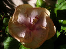 P1160374