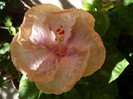 P1160375