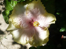 P1160380