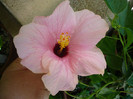 P1160388
