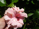 P1160400