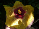 P1160403