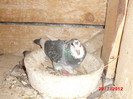 CIMG0655