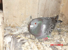 CIMG0661