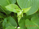 DSCN1755