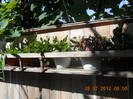 DSCN1761