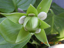 DSCN1766