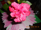 DSCN1775