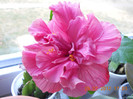 DSCN1779
