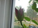 DSCN1781