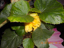 DSCN1773