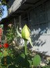 DSCN1749