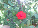 DSCN1751