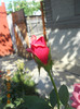 DSCN1754