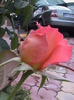 DSC01737