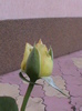 DSC01741