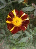 DSC01752