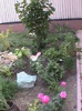DSC01754