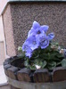 DSC01755