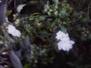 P290712_20.47_[01]