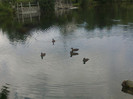 29072012151
