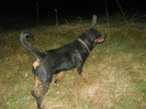 29.07.2012-10 luni (19)
