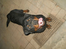 29.07.2012-10 luni