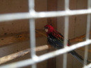 DSCN4761