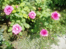 P1010497