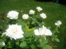 P1010499