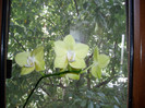 P1010508