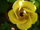 P1160425