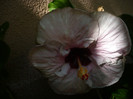 P1160426