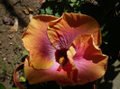P1160429