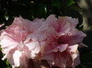 P1160439