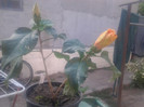 2012-07-29 17.35.57