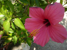 P1160440