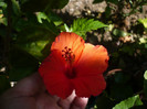 P1160442