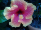 2012-07-30 16.56.37