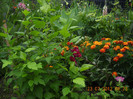 DSCN2767