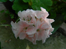 DSCN9559