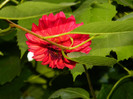DSCN9572