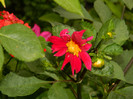 DSCN9573