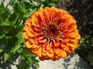 P1010147